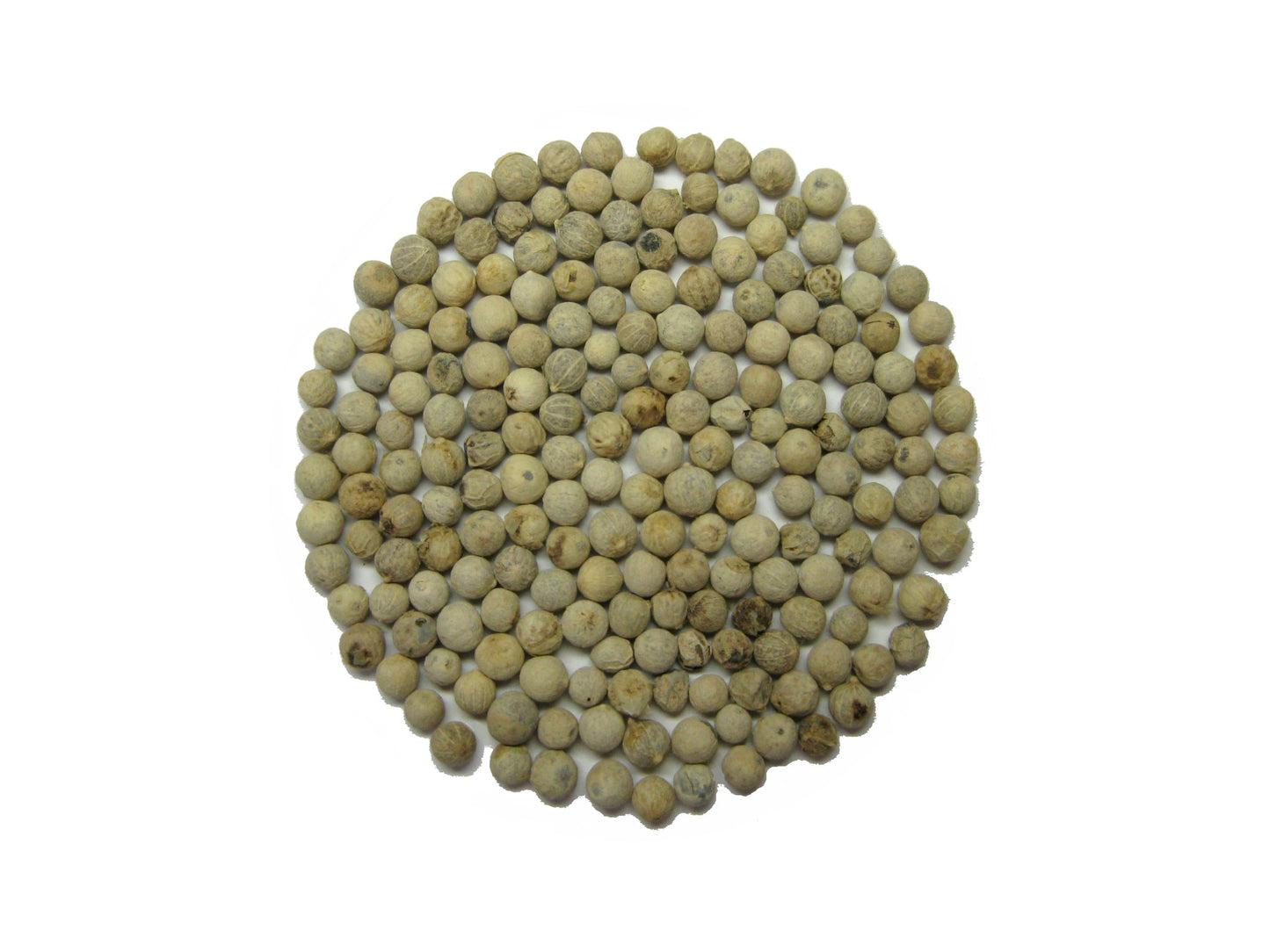 Biele korenie. 100 gr